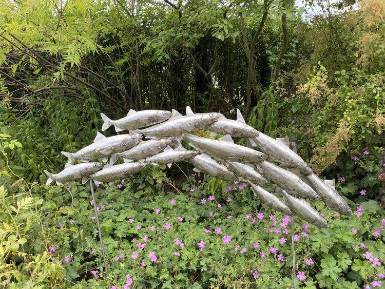 Image of a sculpted shoal of stainless steel fish